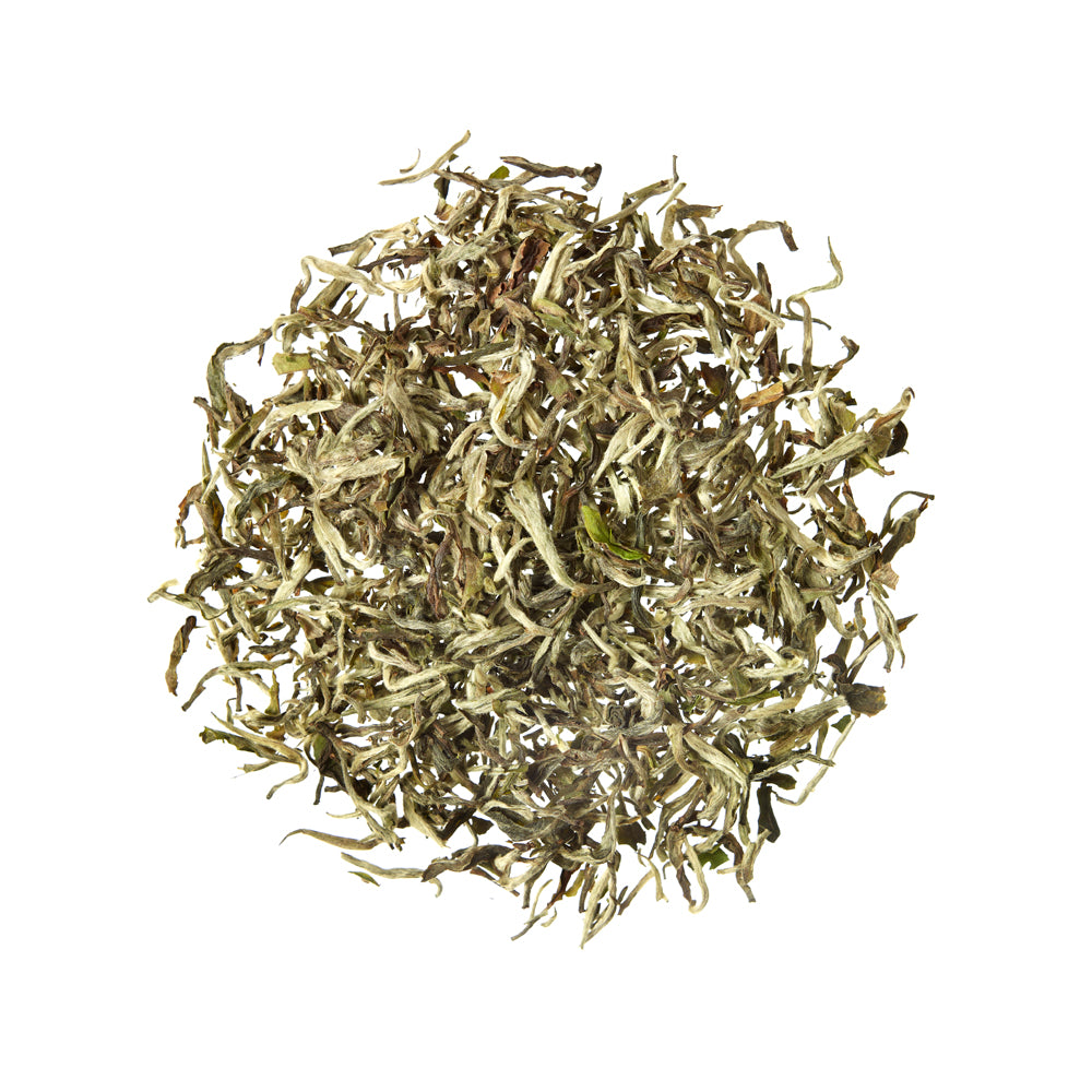Té Blanco Shangri-La Nepal Organic