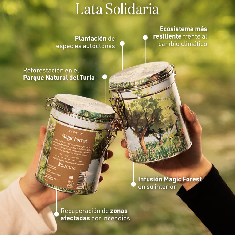 Boîte Bosquia - Magic Forest 25-26