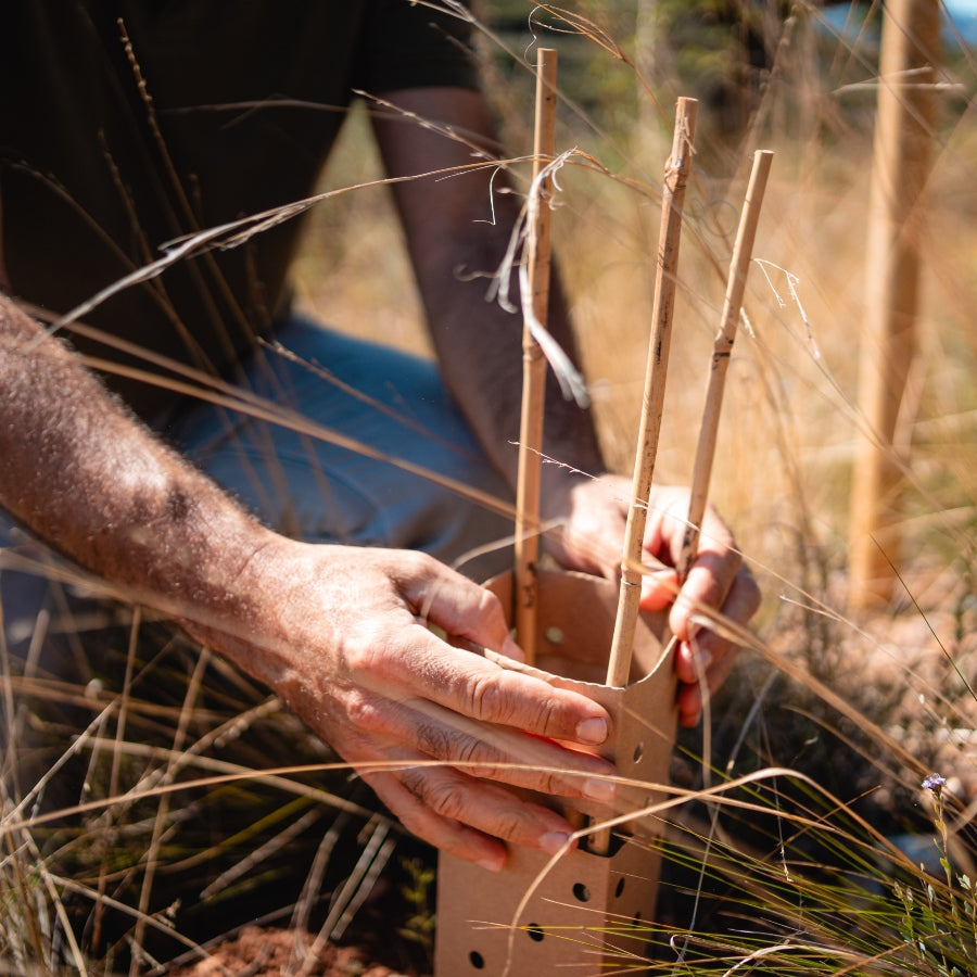 Boîte Bosquia - Magic Forest 25-26