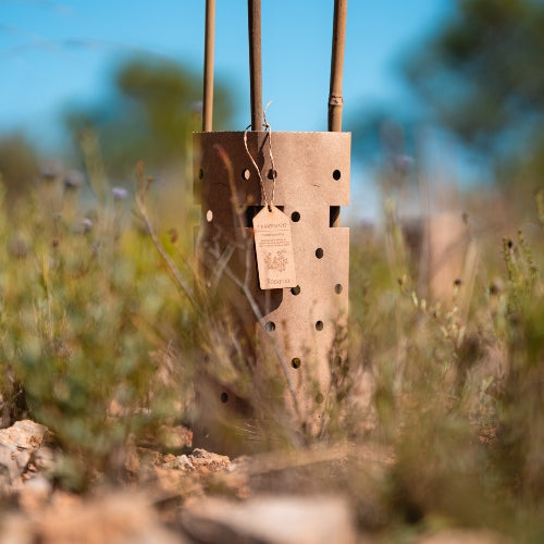 Boîte Bosquia - Magic Forest 25-26