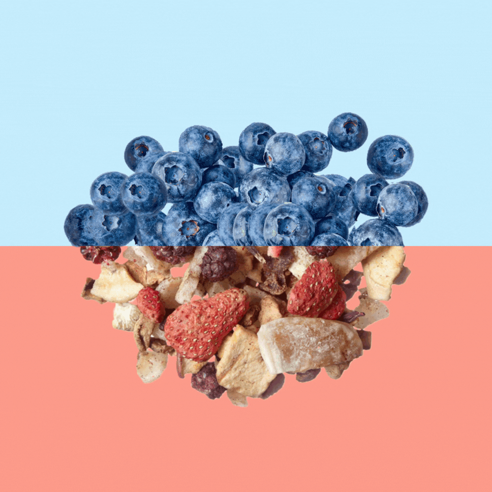 Infusión Fruit Explosion