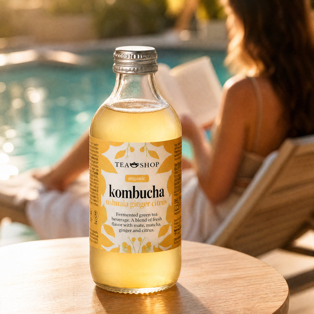 Ushuaia Ginger Citrus Kombucha 250 ml