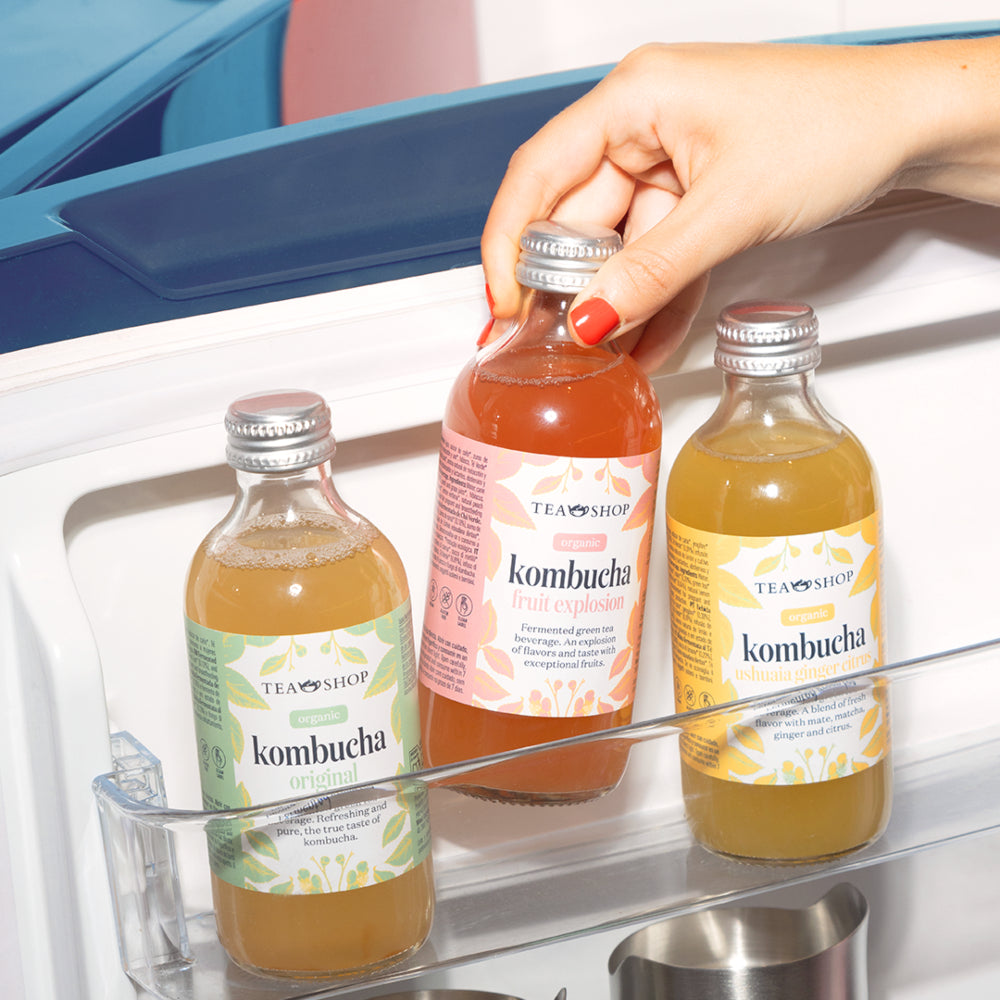 Kombucha Fruit Explosion 250 ml