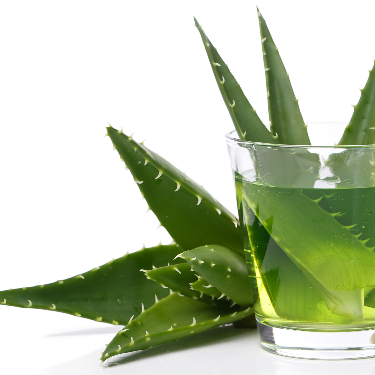 Properties of Aloe Vera: get to know this super nutritious and digesti