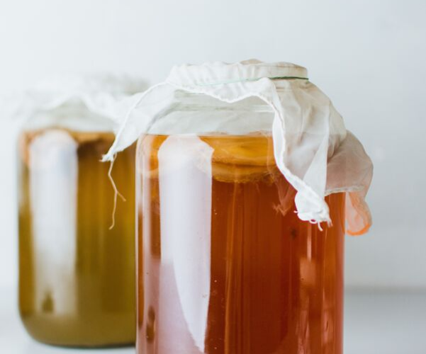 ¿Conoces todos los beneficios del té kombucha?