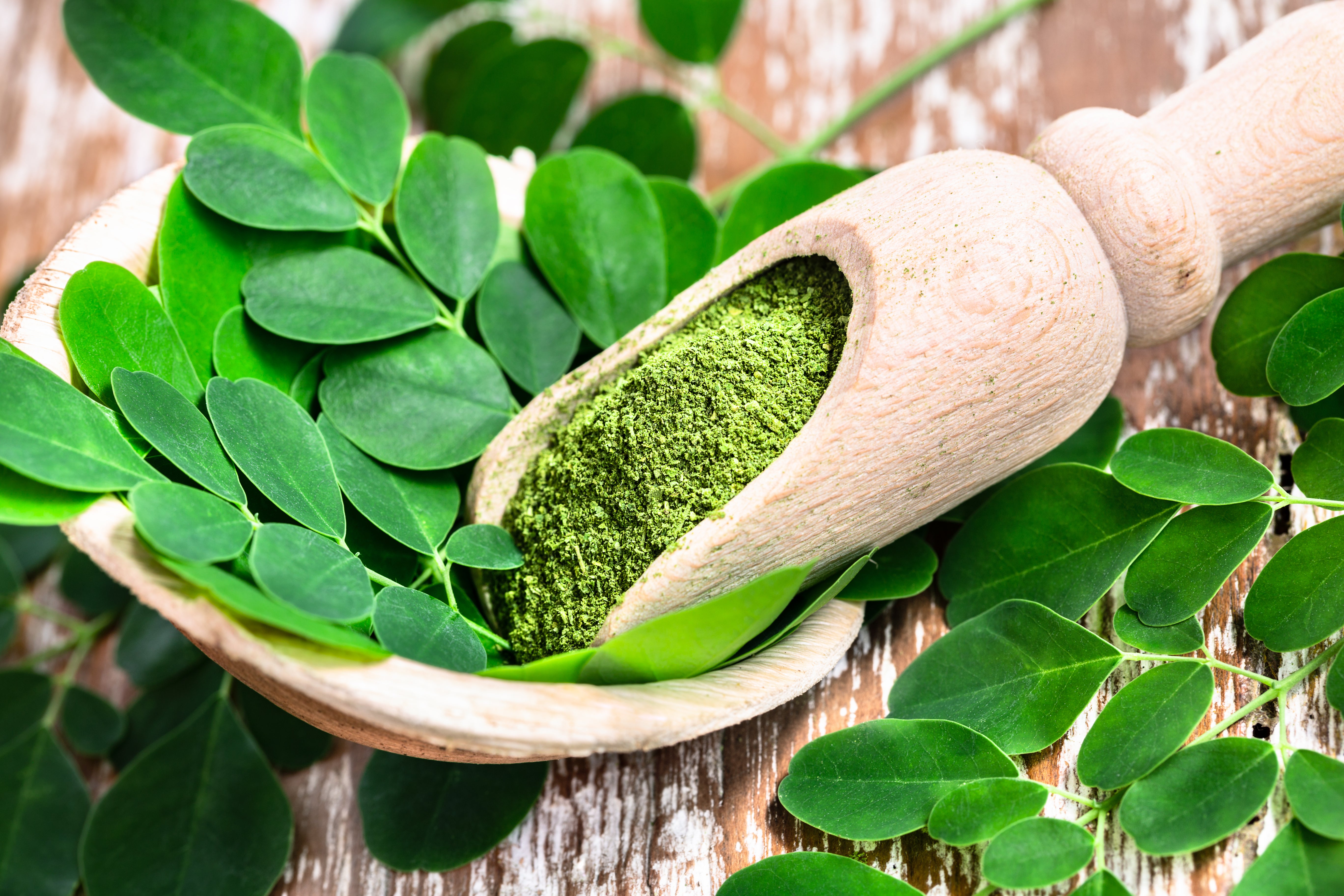 Moringa: propiedades, para qué sirve + receta