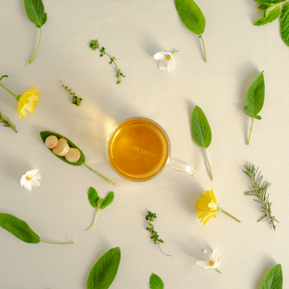 Té verde durante el embarazo