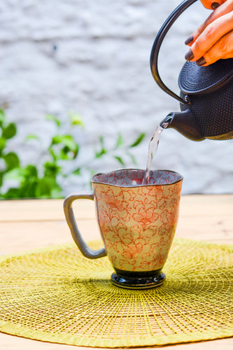 Té blanco propiedades: descubre todo lo que te puede aportar