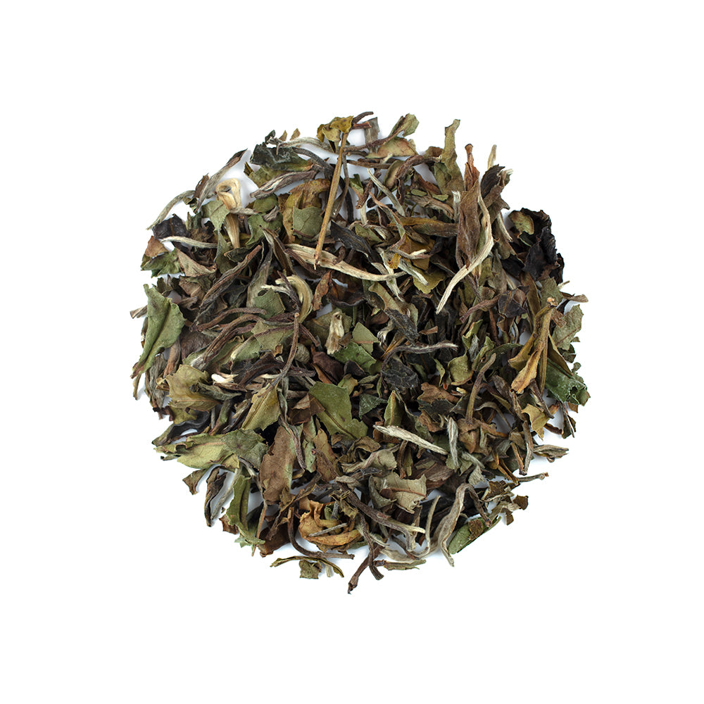 White Tea Pai Mu Tan