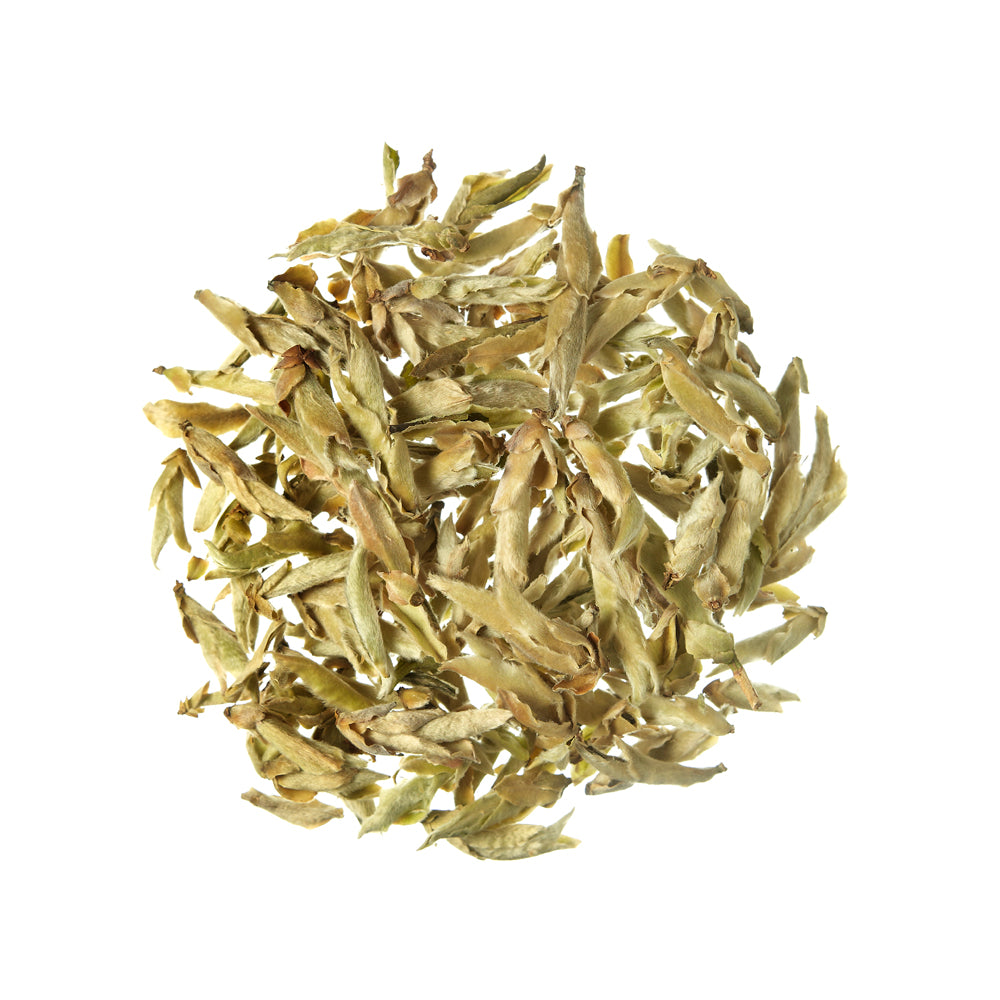 Tè Bianco Ya Bao Silver Buds White Tea China