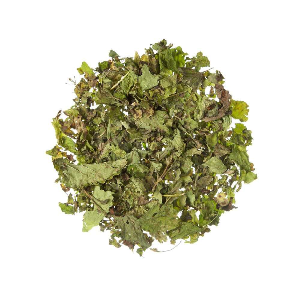 Lemon Balm Organic