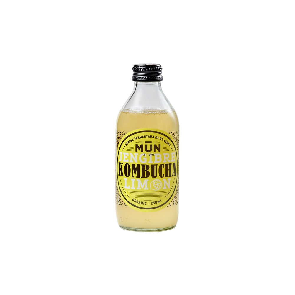 Kombucha Zenzero Limone 250 ml