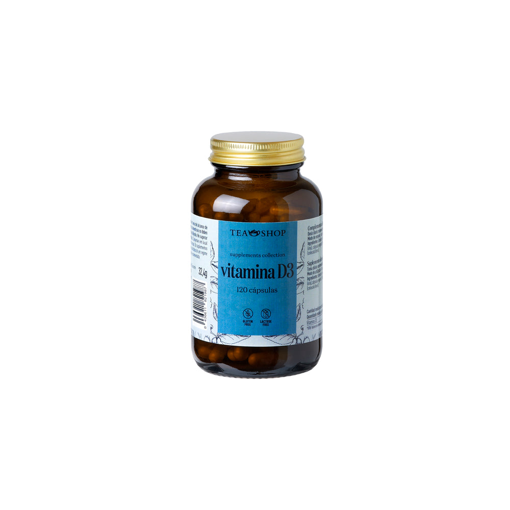 Vitamina D3 (90 càpsules)