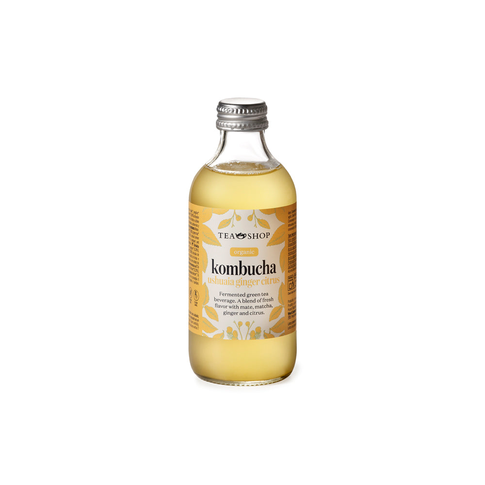 Kombucha Ushuaia Ginger Citrus 250ml