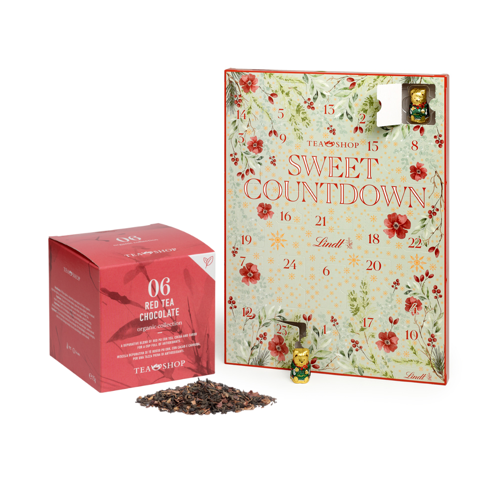 Advent Calendar 2025 + Regalo