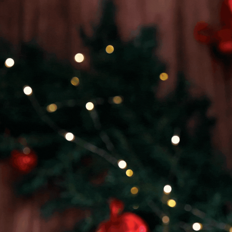 Sparkling Tea Organic Citrus 75cl