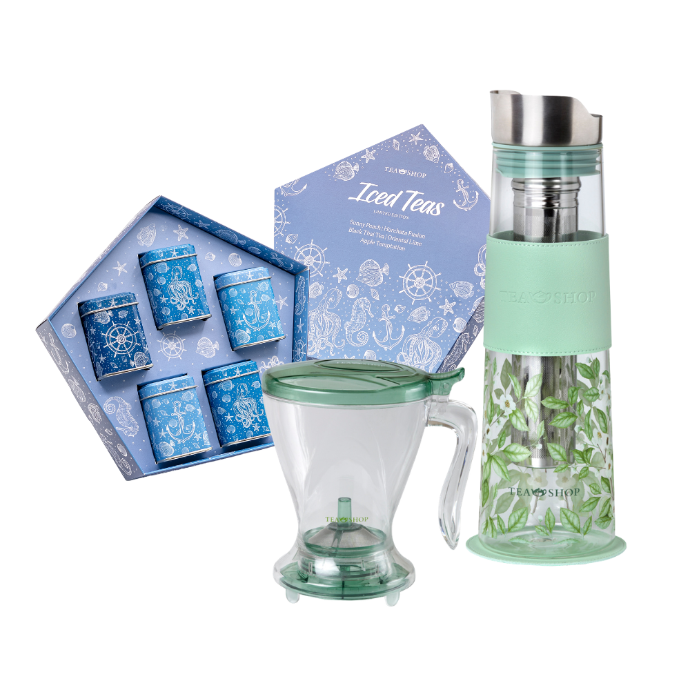 Summer Iced Basics
