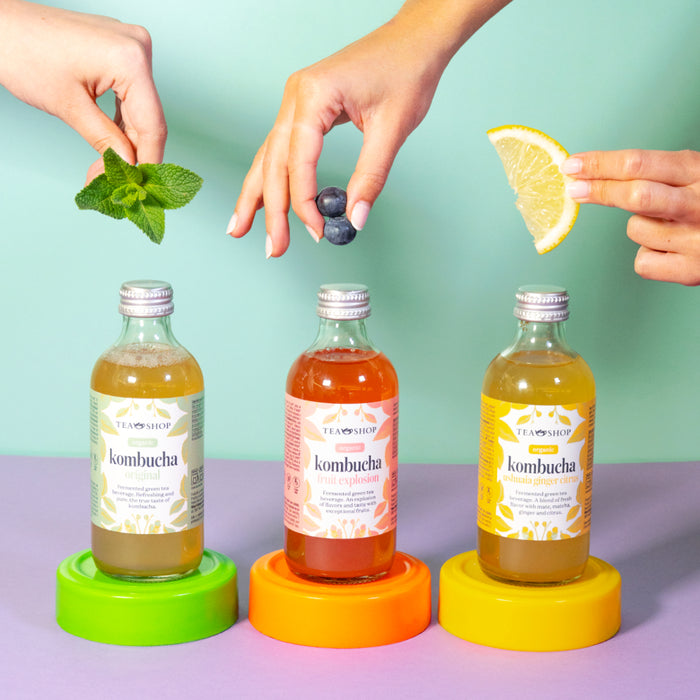 Kombucha Fruit Explosion 250 ml