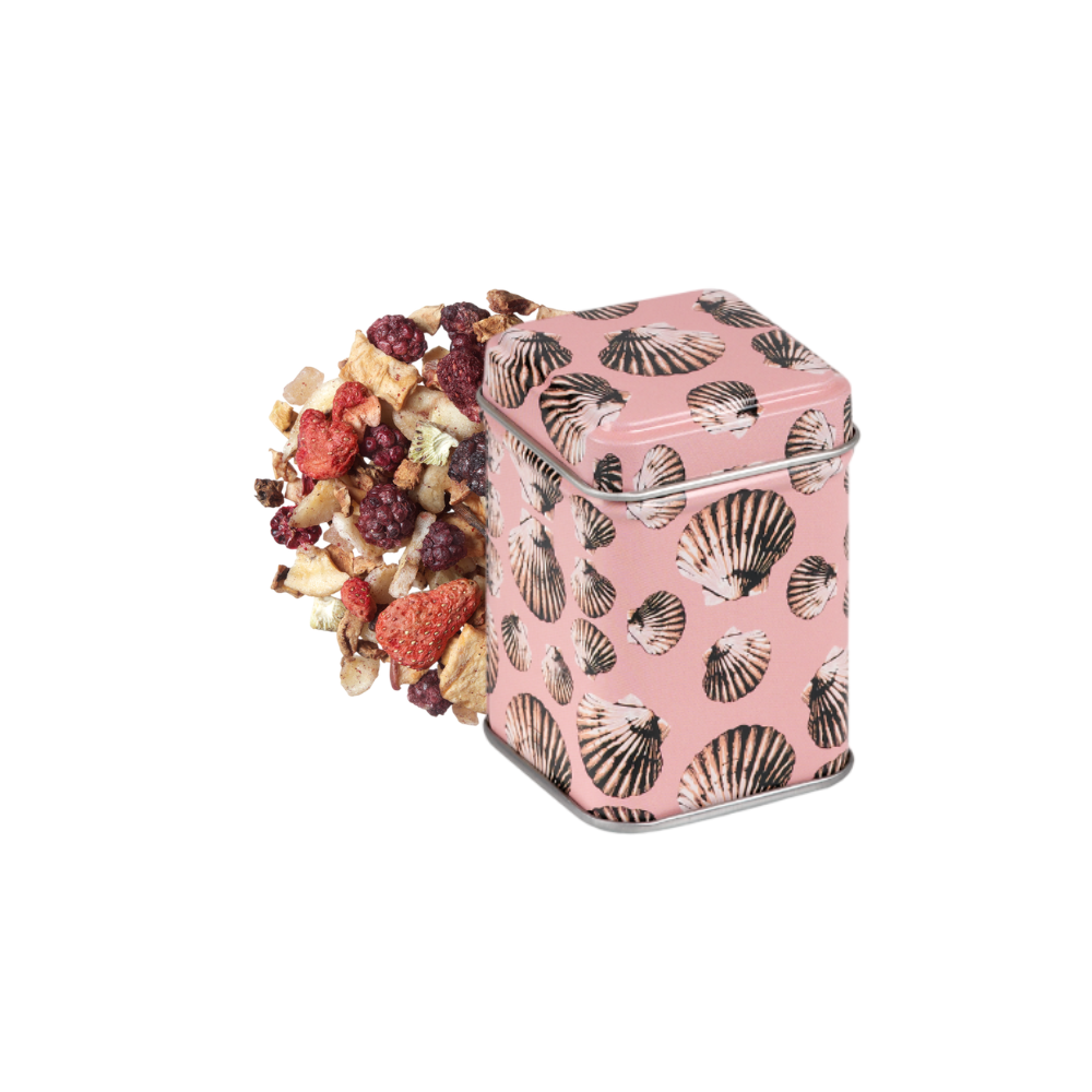 25g Mini Lata Fruit Explosion