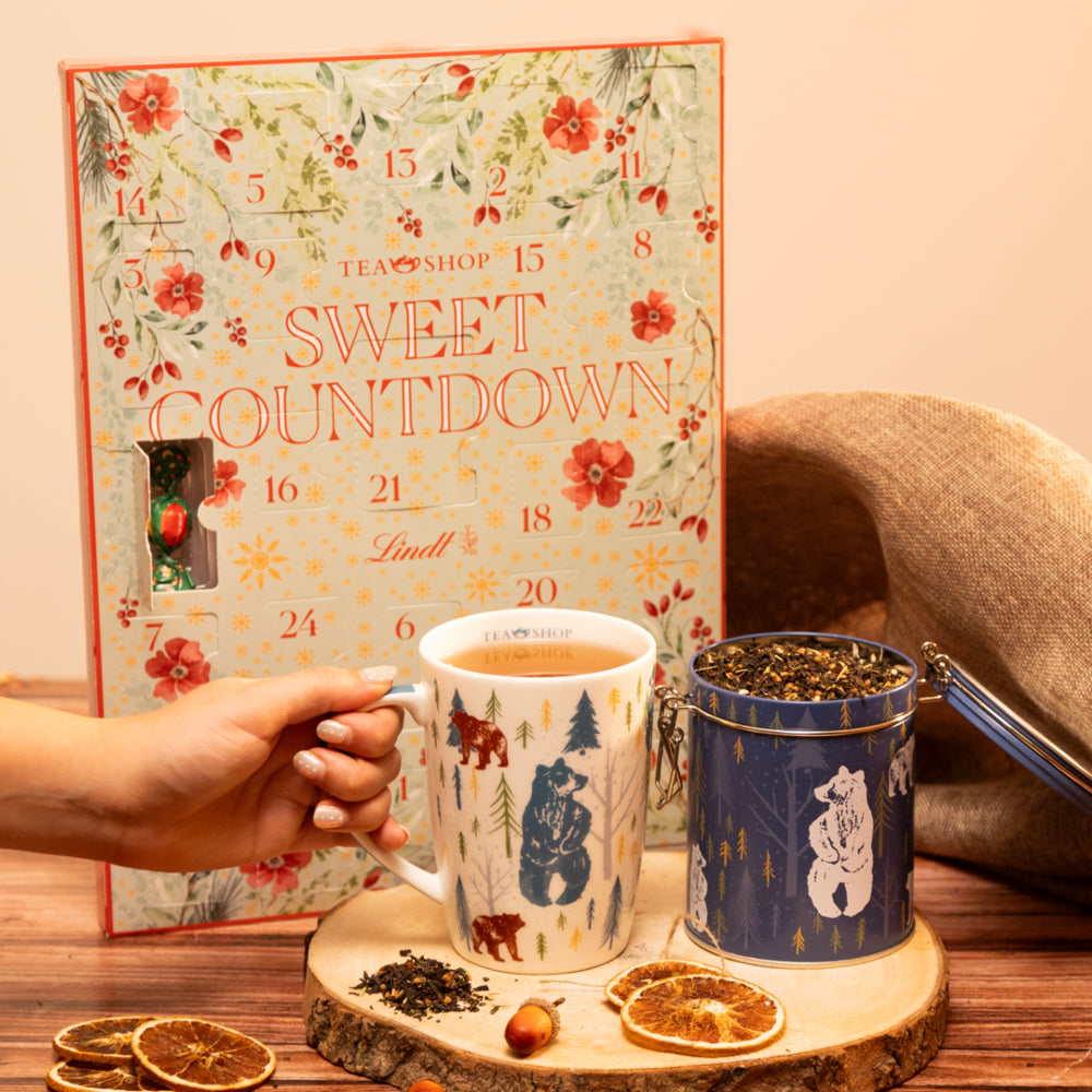 Advent Calendar 2025 + Regalo