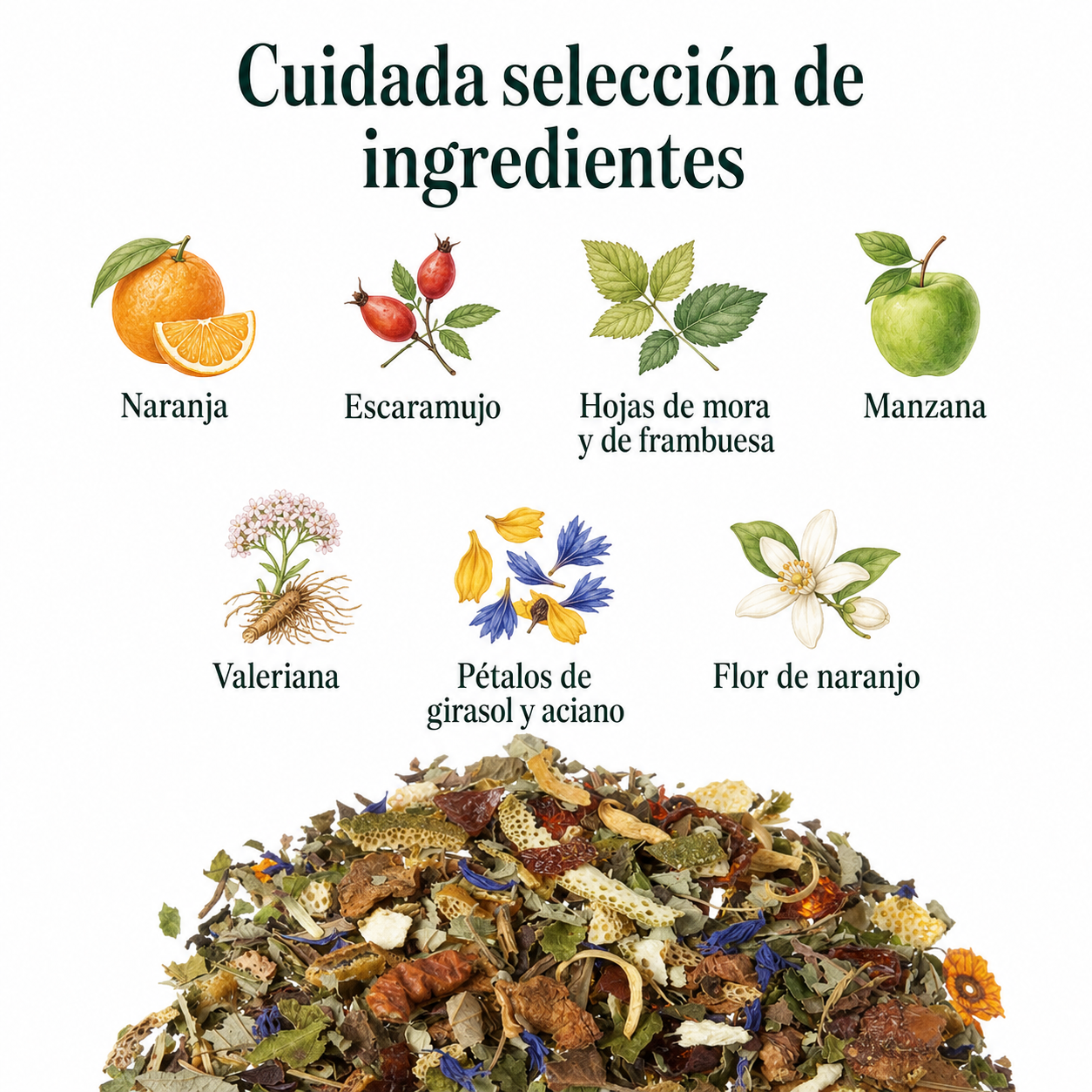 Infusión Valeriana Garden